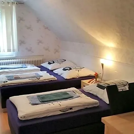 Waldhotel Lemberg האגן