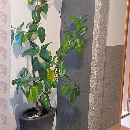 Waldhotel Lemberg Отель 3*