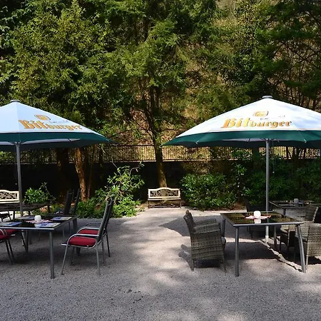 Hotel Waldhotel Lemberg 3*