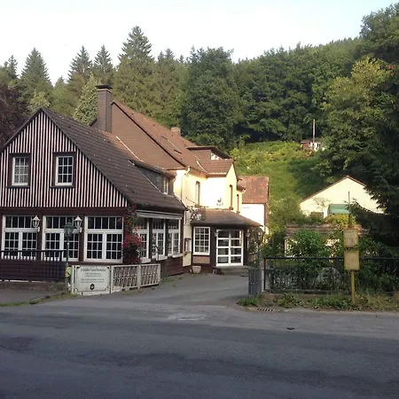 Waldhotel Lemberg מלון 3*