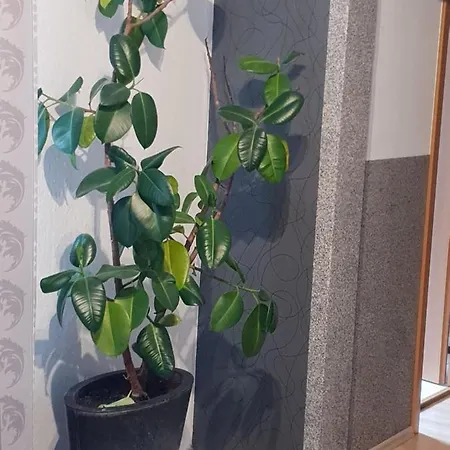 Waldhotel Lemberg Hagen (Arnsberg)