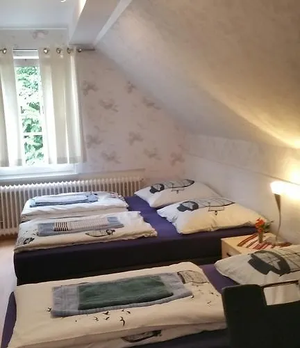 Waldhotel Lemberg 3* Χάγη