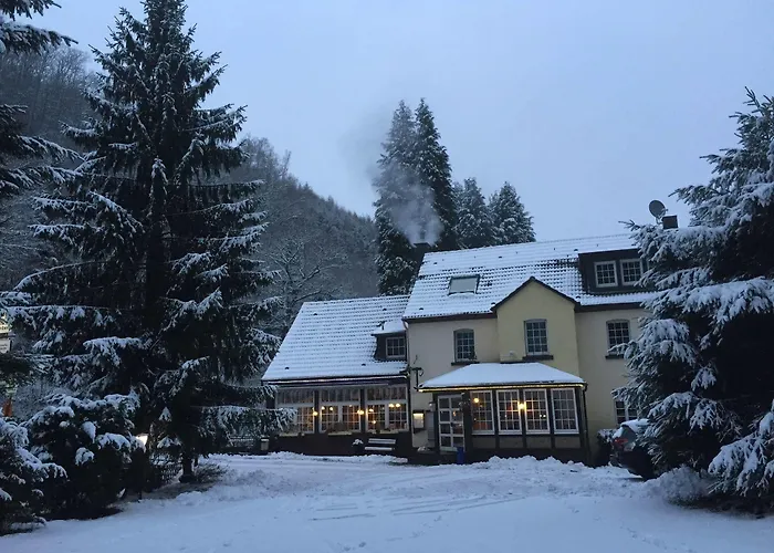 Ξενοδοχείο Waldhotel Lemberg 3*