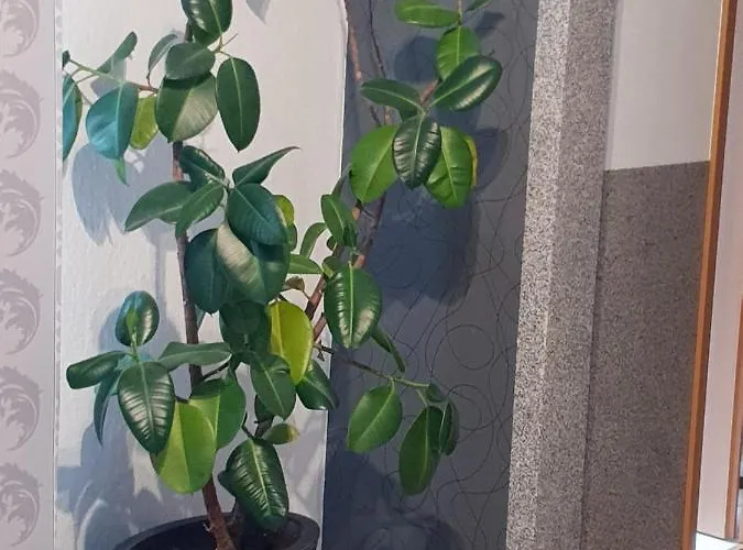 Waldhotel Lemberg Χάγη